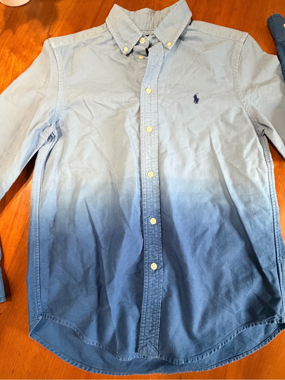 Polo by Ralph Lauren Light to Dark Blue Ombre Button-Down Shirt